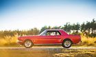 10805 1965 1966 Mustang Lower