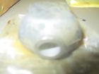 1272603 Volvo Rear Suspension Torque Rod Bushing