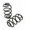 50-204502-1 Chevelle Coil Springs Rear Eckler