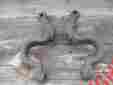 Ad-3130-b Ad-3131-b Ad3130-b Ford Lincoln Mercury Nos 1956 Spindle Steering Arms
