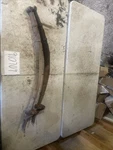 1963-1964 Studebaker Champ Front Leaf Spring Oem Suspension Set. Fixed Price $250.00.