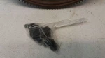 4.7L Flywheel With Bolts For 06-11 Dodge Dakota. Fixed Price $39.95.