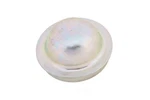 Genuine Gm Parts Canada 15070471 Wheel Bearing Dust Cap. Fixed Price $30.88.