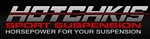 Hotchkis 22441R Rear Sway Bar Set. Fixed Price $381.44.