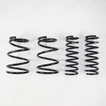 Rs-r Down Sus Springs Fits 2015+ Subaru Outback 3.6R. Fixed Price $309.00.