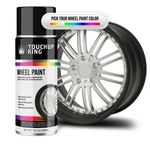 Automotive Wheel Paint Ford Mica Stone Metallic 2833. Fixed Price $36.99.