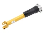 Ac Delco 35MT97P Rear Shock Absorber Fits 2016-2019 Chevy Corvette. Fixed Price $123.68.