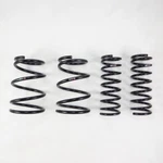 Rs-r Fits 2015+ Subaru Outback 3.6R Down Sus Springs. Fixed Price $309.00.