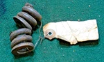 Steering Drag Link Tension Spring Internation Harvester K/kb Series Truck Nos. Fixed Price $17.99.