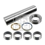 Febi Bilstein King Pin Set 15899 - Oe Matching Quality And Precision Fit. Fixed Price $130.59.