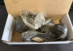 Porsche 911/912 Lower Ball Joints-pair #90134104700. Fixed Price $379.96.